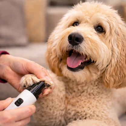 Electric Nail Grinder™